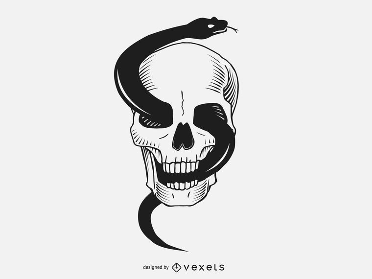 Calavera con serpiente negra Calavera con serpiente negra