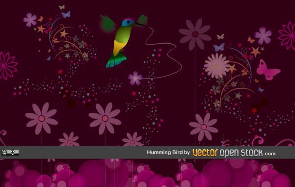 Humming Bird Humming Bird