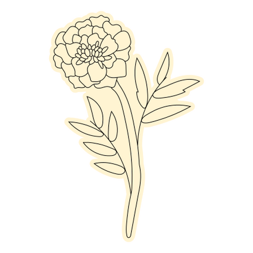 Elegant marigold flower design PNG Design