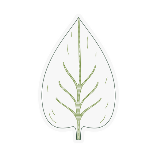 Diseño de hojas con arte lineal botánico para la decoración del hogar. Diseño PNG