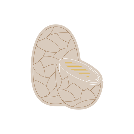 Stylish patterned stone design for decor PNG Design