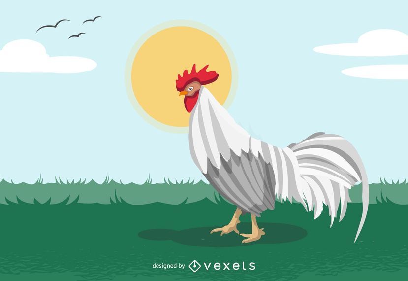 Galo de vetor Galo de vetor