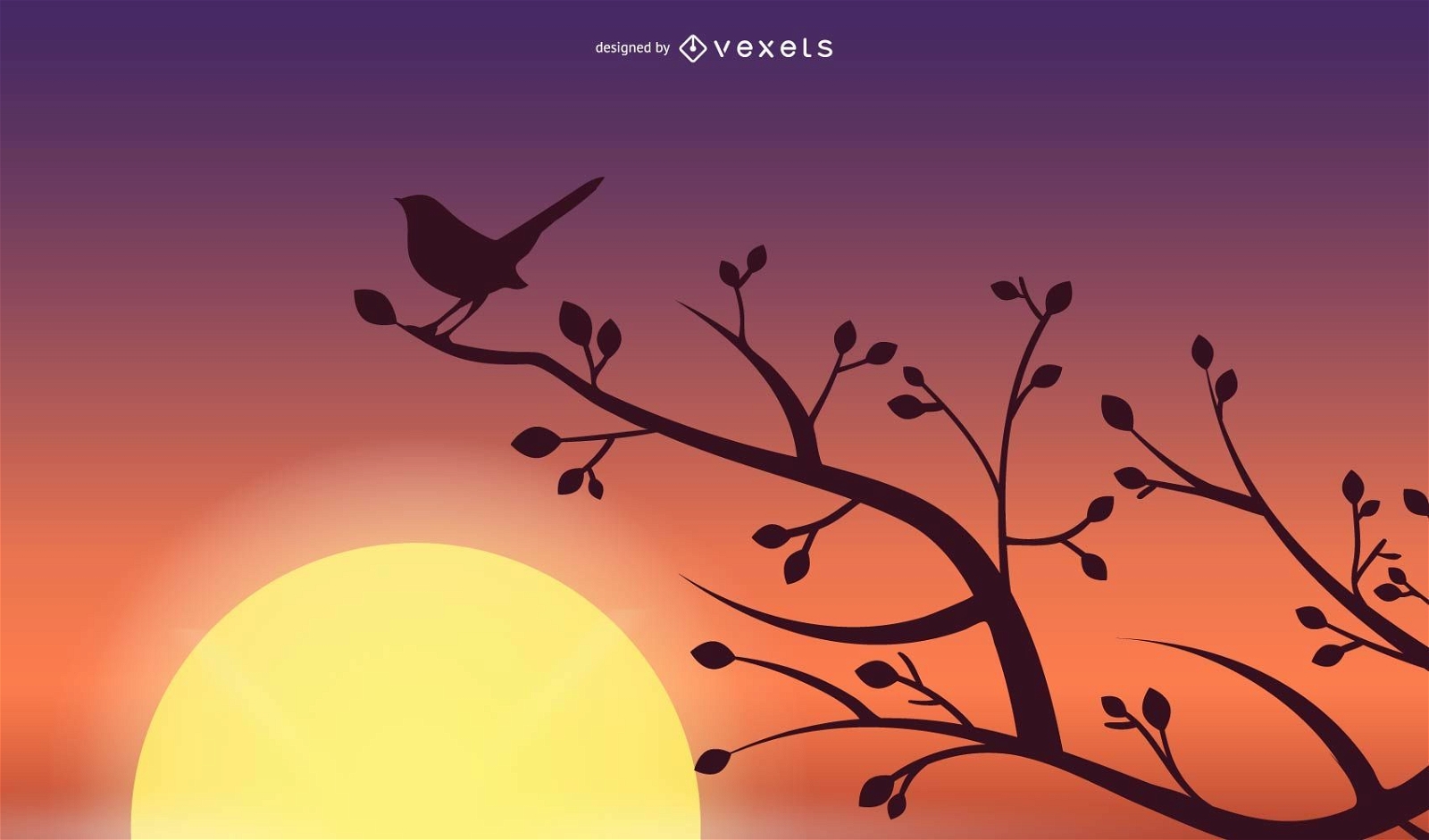 Ilustração da silhueta do Sunset Bird