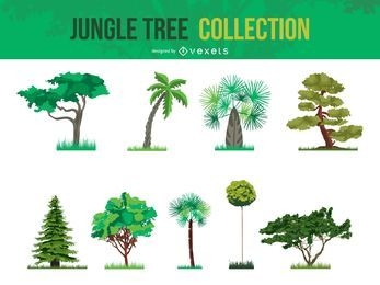 Vektor-Dschungel-Baum-Sammlung