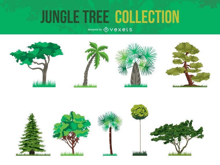 Coleção de árvore de selva de vetor Coleção de árvore de selva de vetor