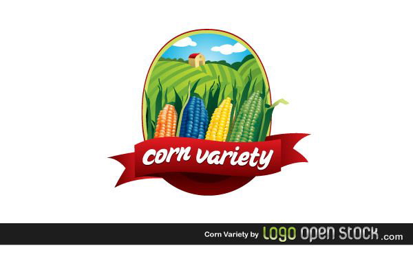 Corn Variety