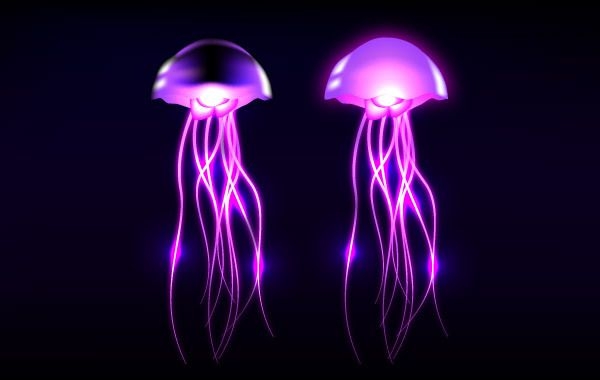 Glowing Vector Jellyfish