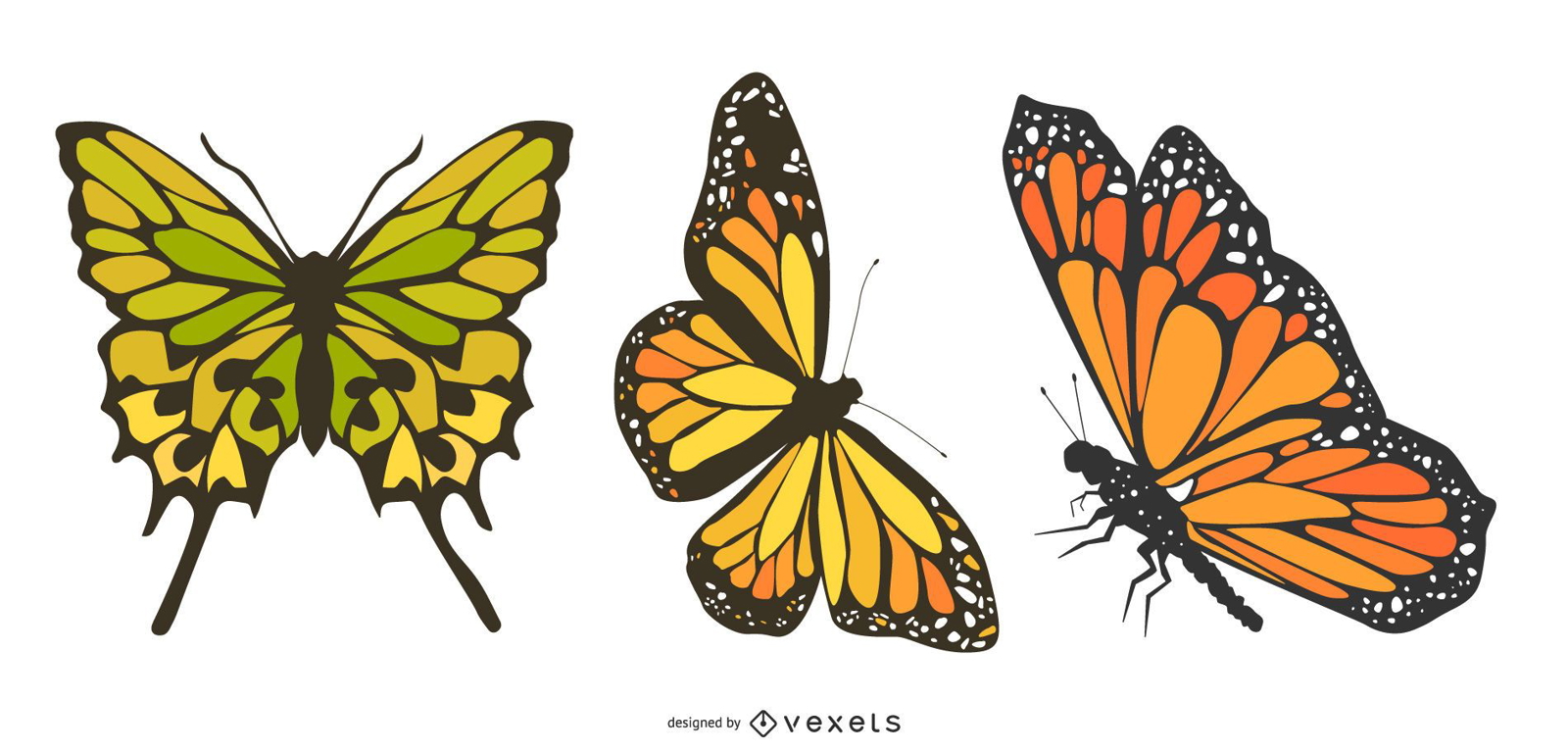 Tres hermosos vectores de mariposas