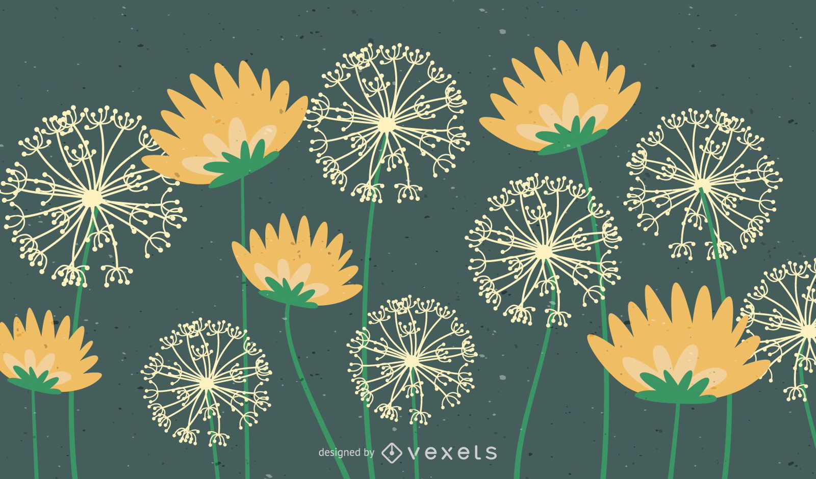 Dandelion Flower Vector