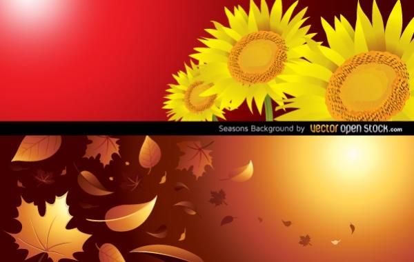 Seasons Background (Autumn & Summer) Seasons Background (Autumn & Summer)