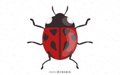 Red Ladybug isolated
