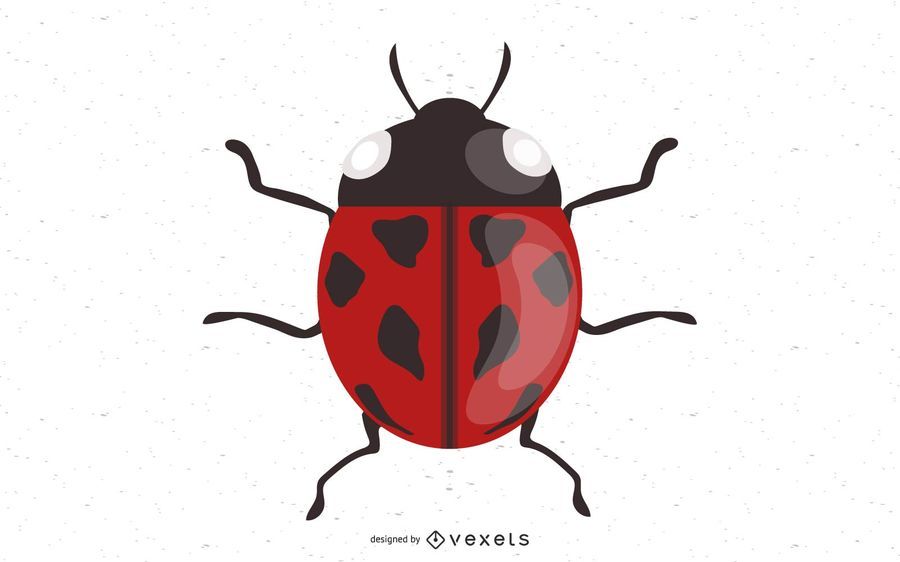 Vector Ladybug Vector Ladybug