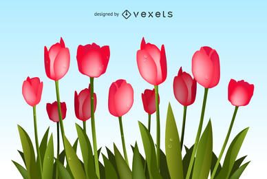 Vector De Ramo De Tulipanes Vector De Ramo De Tulipanes
