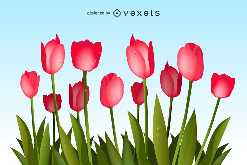 Vetor de buquê de tulipas Vetor de buquê de tulipas