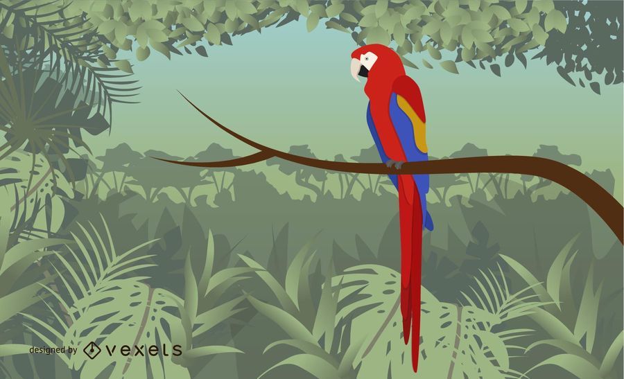 Vector Artistic Guacamaya Bird Vector Artistic Guacamaya Bird