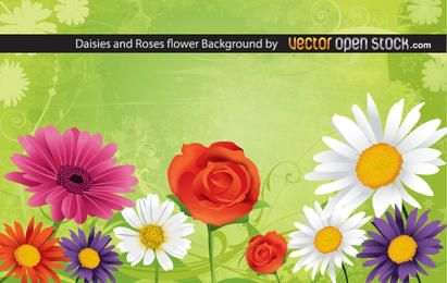 Daisies and Roses Flower Background