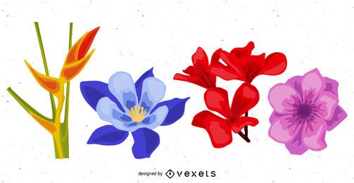 Descarga Vector De Paquete De Flores Con Ave Del Paraíso