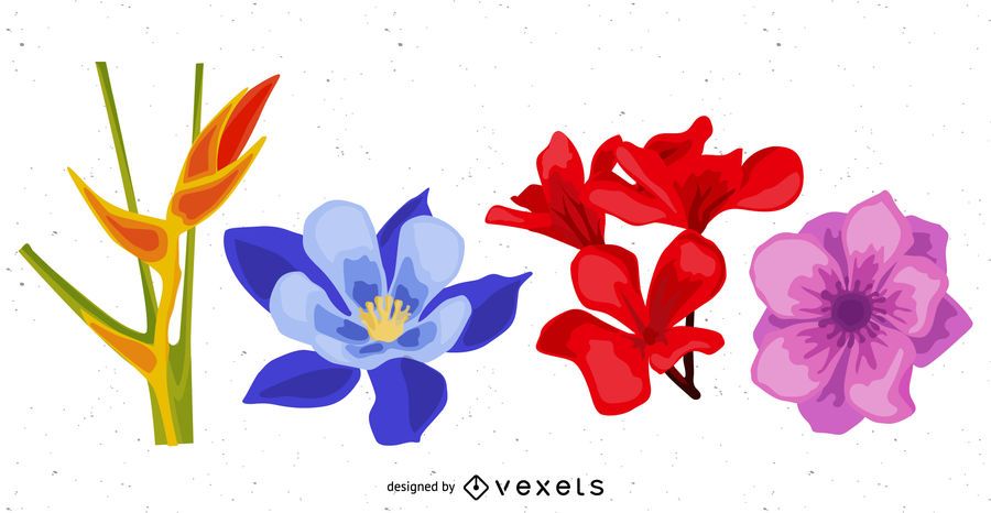 Flower Pack with Bird of Paradise Flower Pack with Bird of Paradise