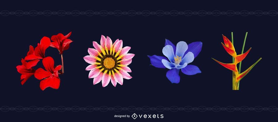 Flower Pack with Bird of Paradise Flower Pack with Bird of Paradise