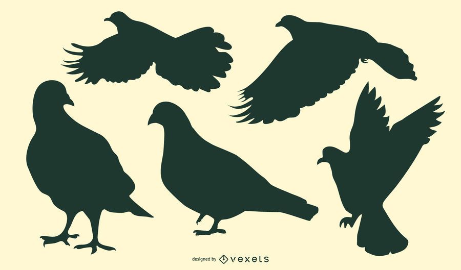 Pigeon Pack Symbol of Peace Pigeon Pack Symbol of Peace