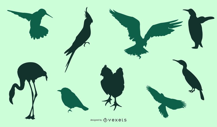 Silhouette Bird Pack Silhouette Bird Pack