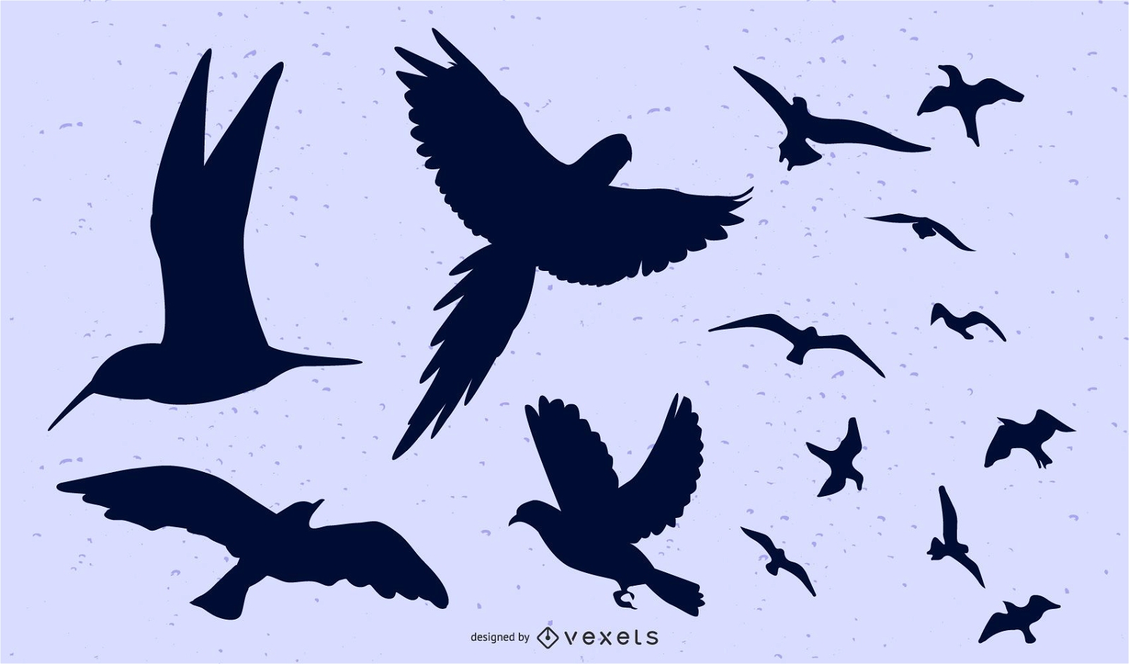 Aves volando en grupo y por separado