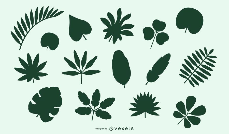 Paquete de hojas y arbustos naturales Paquete de hojas y arbustos naturales