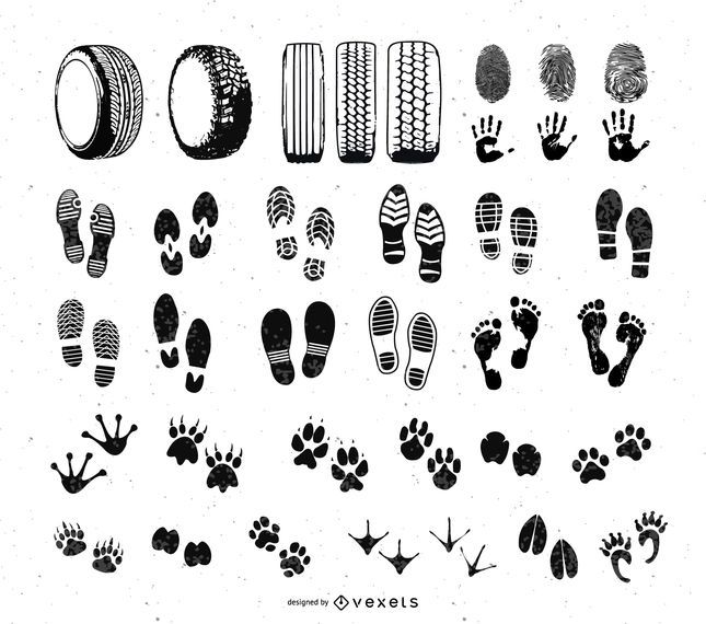 Foot and Car Wheel Step Print Set Foot and Car Wheel Step Print Set