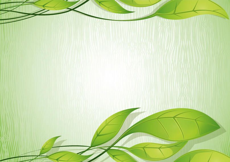 Fundo eco Fundo eco