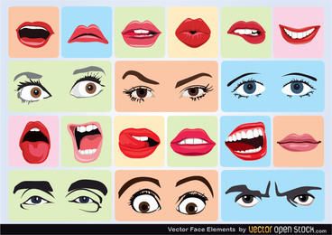 Elementos de la cara del vector Elementos de la cara del vector