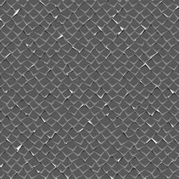 Metallic Distressed Net