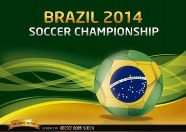 Antecedentes do Campeonato de Futebol do Brasil 2014