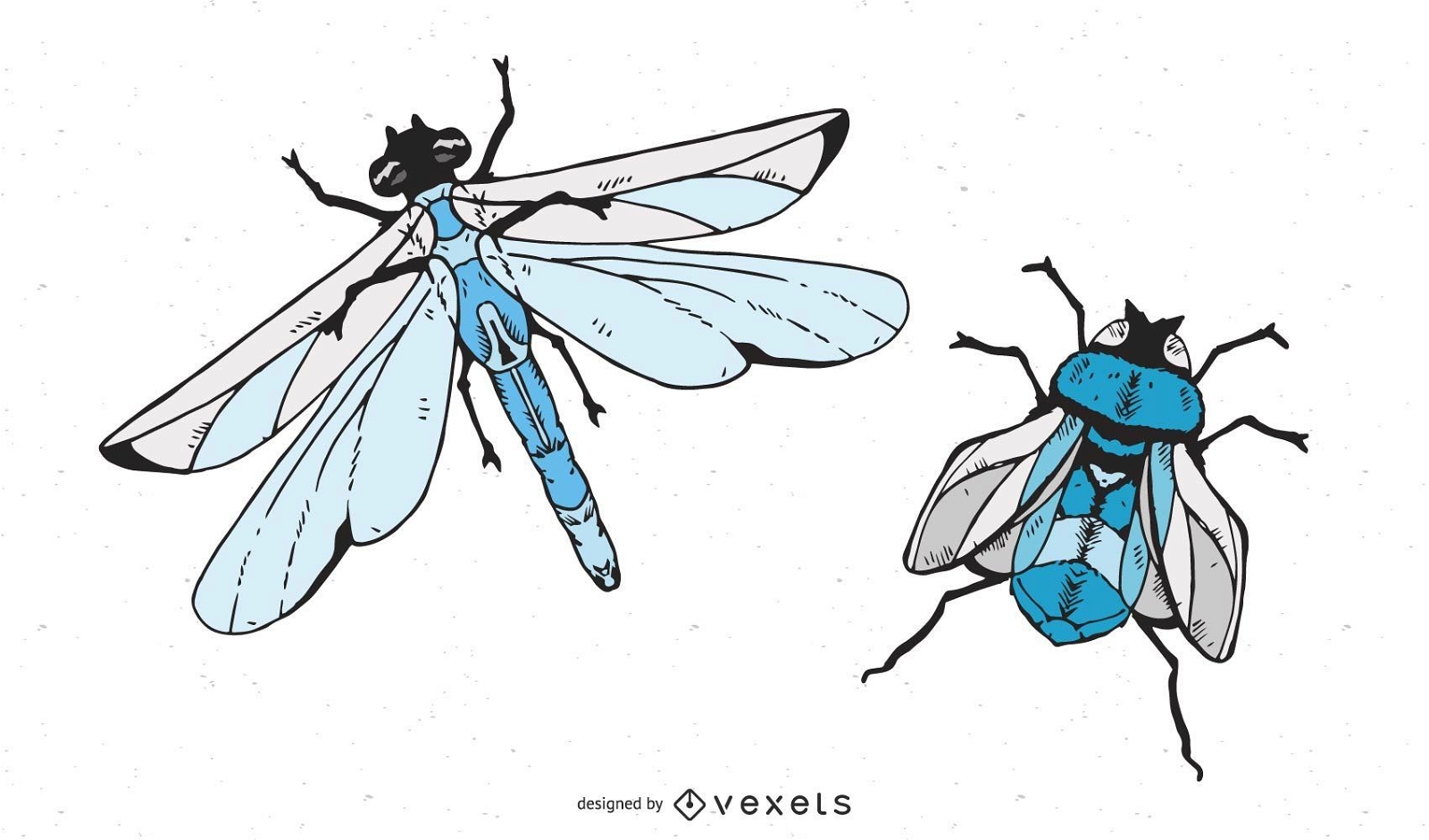 Insectos voladores