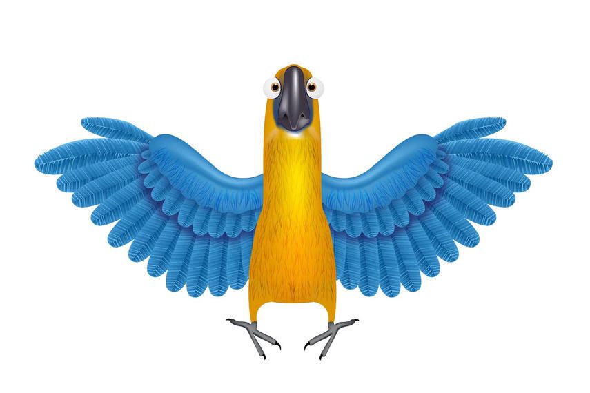 Funky Parrot with Detailed Wings Funky Parrot with Detailed Wings