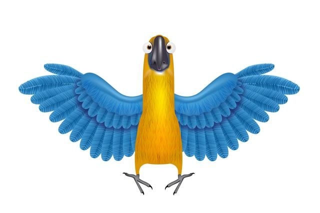 Papagaio Funky com Asas Detalhadas