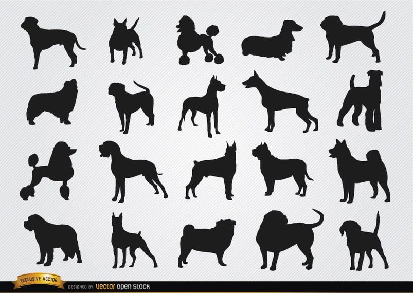 Silhuetas de raças de cães Silhuetas de raças de cães