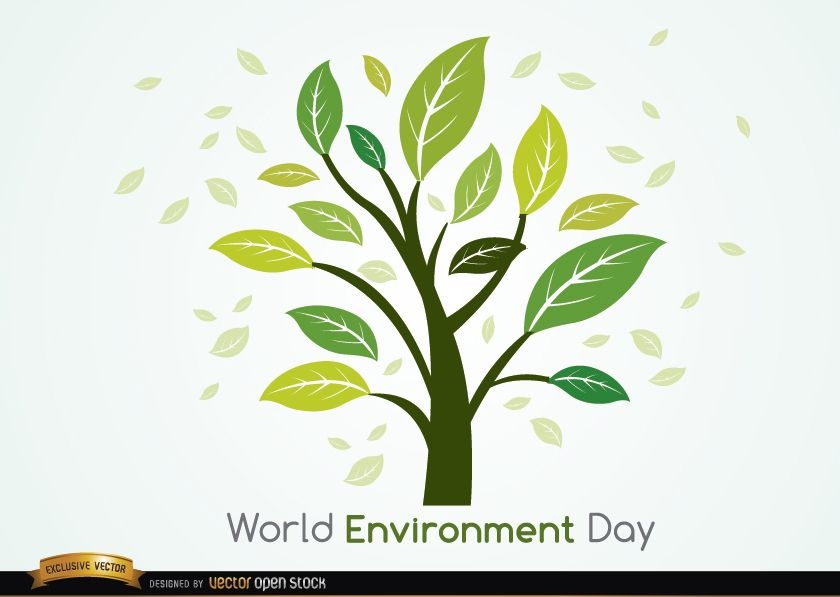 Plante e deixe o dia mundial do meio ambiente