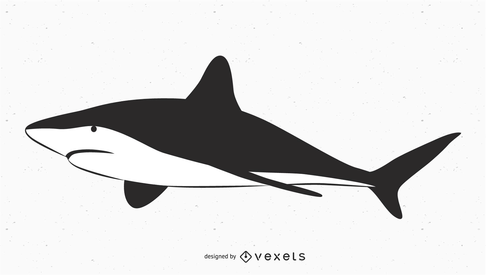 Big shark vector