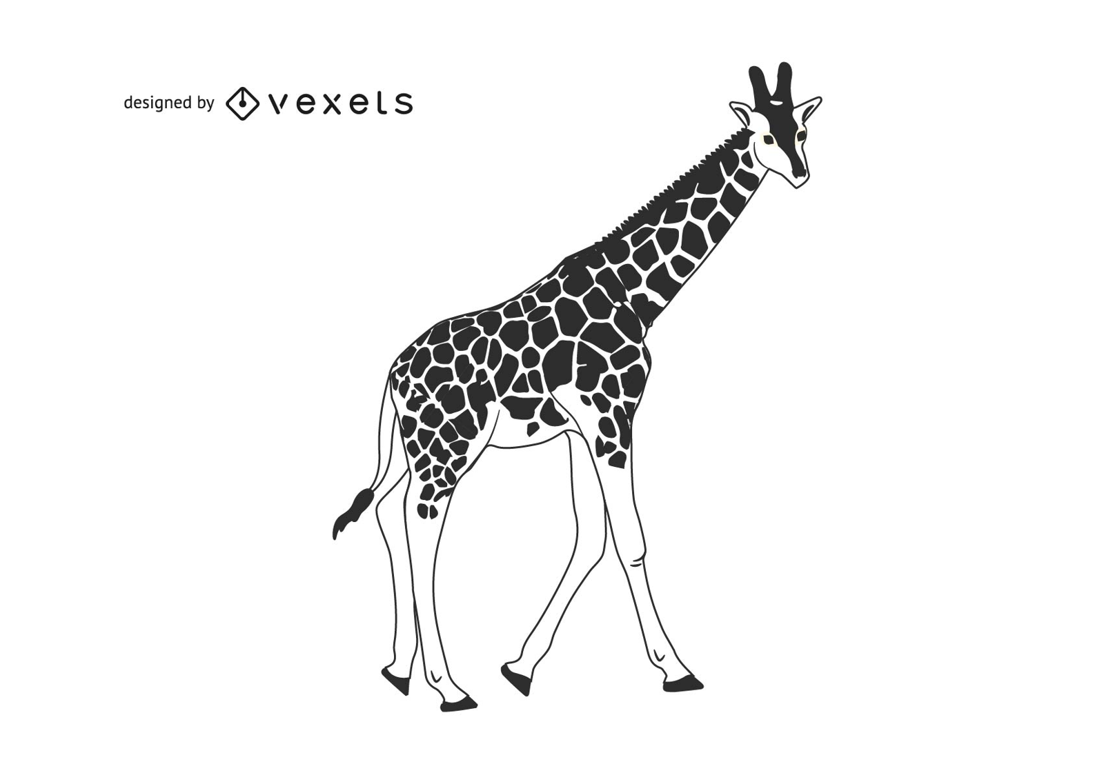 Schwarz-Weiß-Giraffe mit Detail-Körperdruck