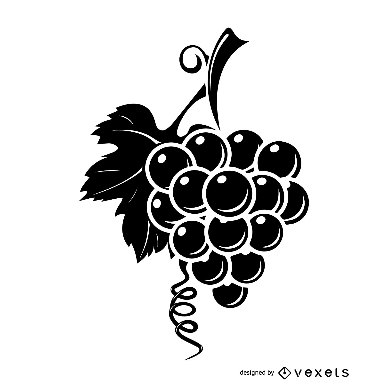 Download Bunch Of Wine Grapes With Tree Branch - Vector Download