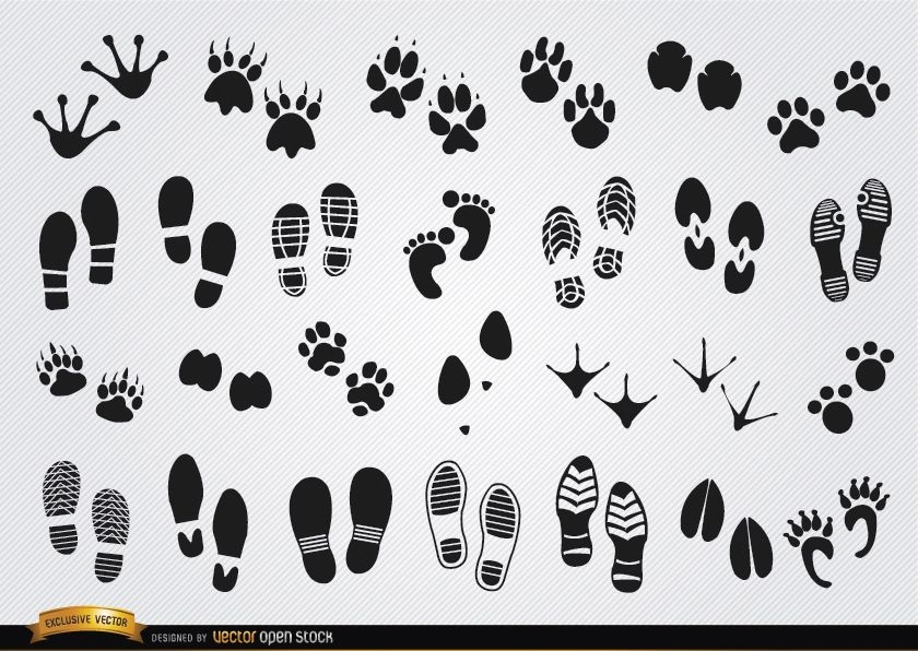 Footprints silhouettes of humans and animals