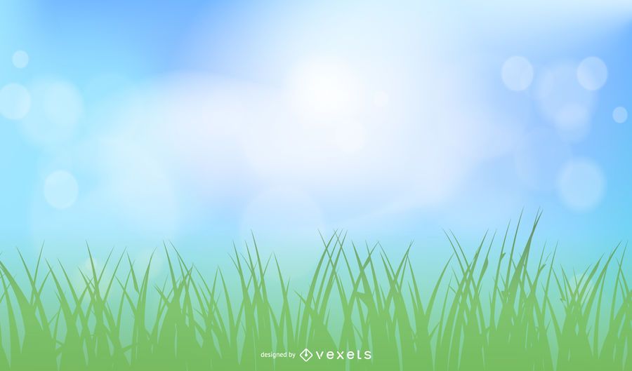 Realistic Sunny Sky with Grassy Ground Realistic Sunny Sky with Grassy Ground