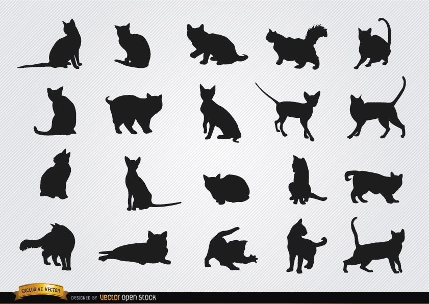 Cat breeds silhouettes set