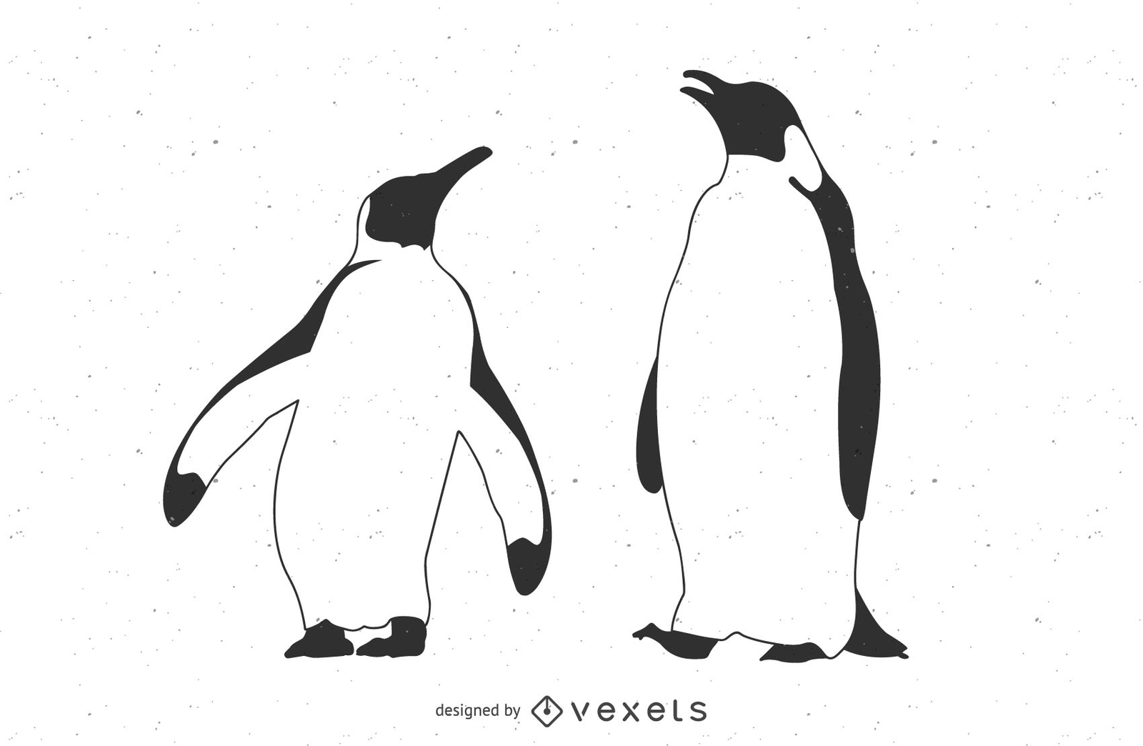 Pingüinos en blanco y negro con trazado de línea