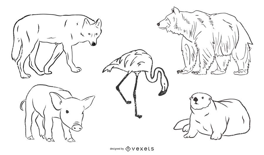 Black & White Animal Sketch Pack Black & White Animal Sketch Pack