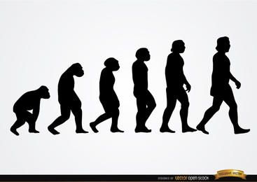 Siluetas de la evolución humana Siluetas de la evolución humana