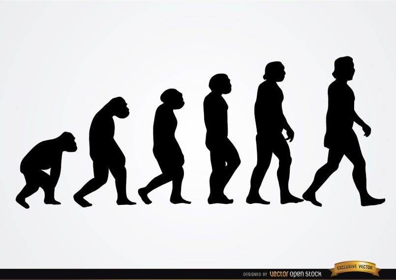 Human evolution silhouettes Human evolution silhouettes