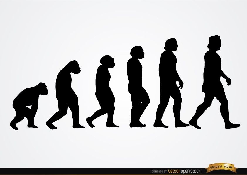 Human evolution silhouettes