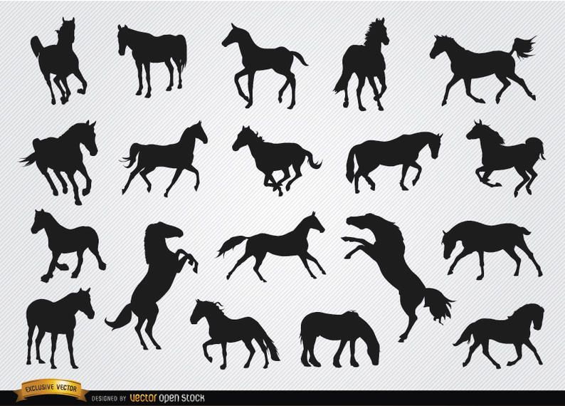 Conjunto de siluetas de caballos. Conjunto de siluetas de caballos.
