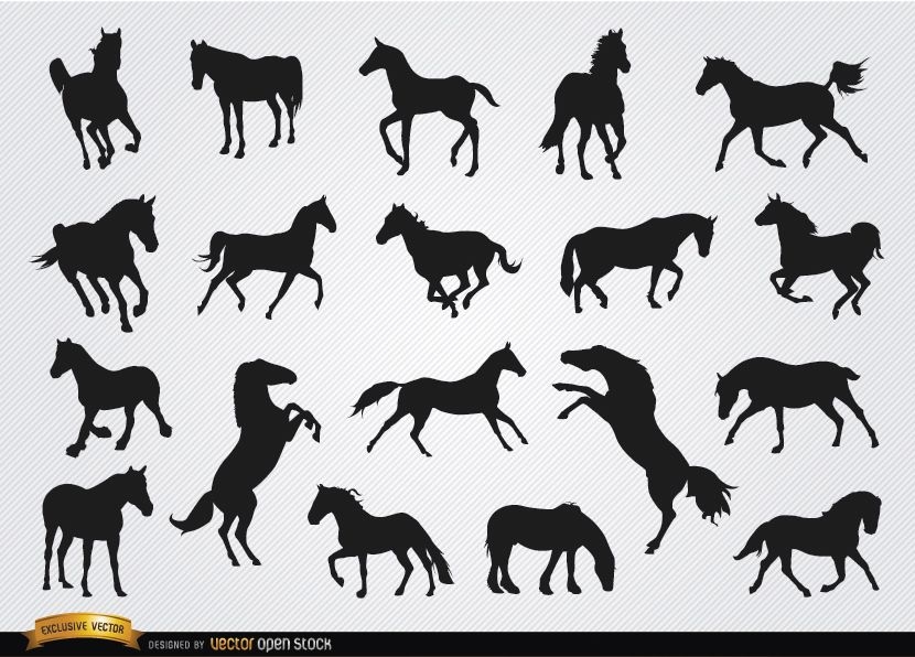 Horses silhouettes set